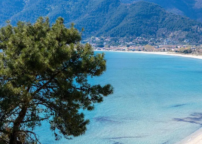 Archetypo Luxury Living * 克里斯阿穆迪亚